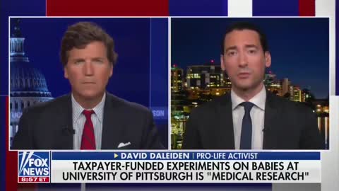 David Daleiden on Fox News discussing University of Pittsburgh's fetal tissue research