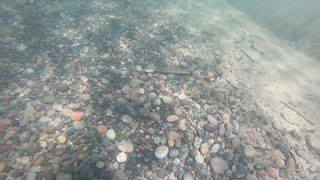 Snorkling Whitefish Bay in August