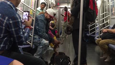 Man in red back pack pulls snakes out of black bag