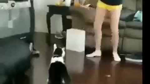 Ohhh this is power of a cat