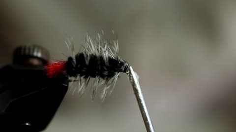 Fly Tying the Woolly Worm