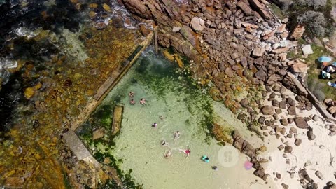 Tidal Pools: Exploring Miniature Worlds of the Coastal Zone