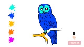 Coloring for Kids - How to Color Owl (Only Coloring)