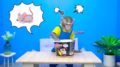 Funny monkey