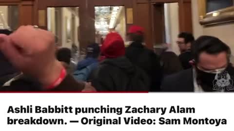 Posobiec: Ashli Babbitt punched and tried to stop Zachary Alam