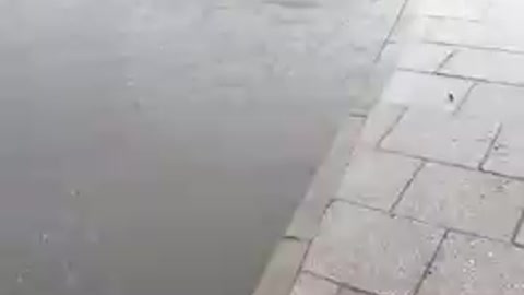 Southampton station flood