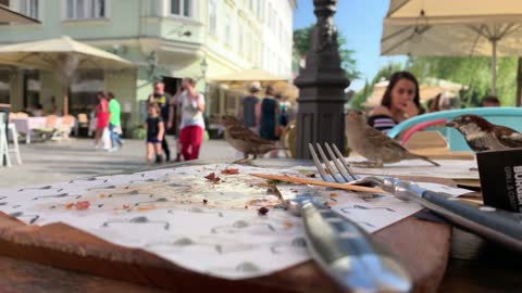 close up footage of a plate after eating