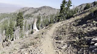 Ascending the Steep, Windy & Exposed Mountainside – Three Fingered Jack Loop – Central Oregon – 4K