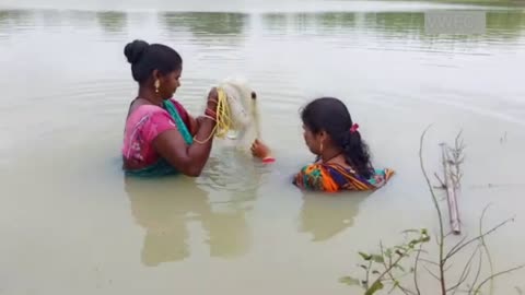 Indian Fishing Women || BBW || Good fish catching Techniques || Exposing women.