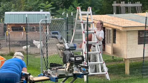 Upholstery, Finishing the Chicken Coop, Harvesting Beens