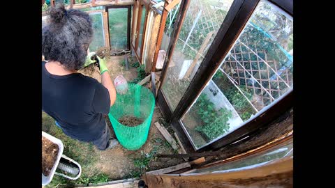 Vertical potato/lettuce planting