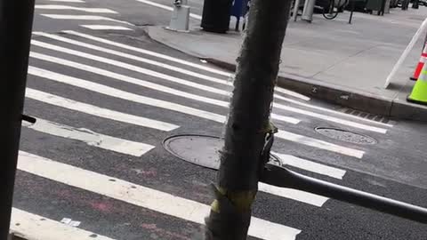 Guy grey shorts blue hat dancing spinning in streets