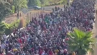 The latest wave of invaders en route to the US ‘border’