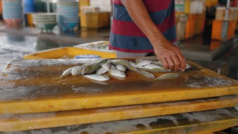 Close Up Shot of Man Throwing Fish