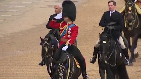 Was Prince William's horse drugged at Trooping the Colour rehearsals, asks military veteran