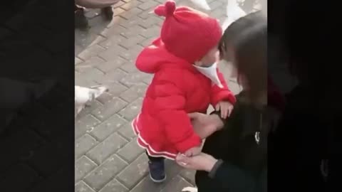VIRAL Video.. child eating from pigeon - I Can't Believe On My Eyes
