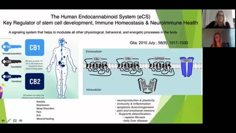 DOCTOR JUDITH MILKOVICH TALKS ABOUT COVID-19