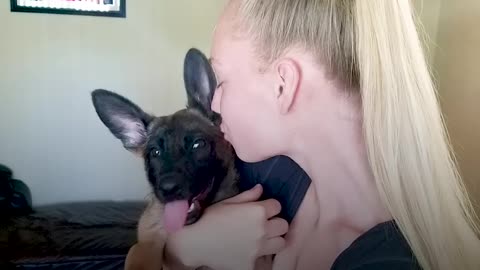 This Dog Stops His Mom's Panic Attacks | The Dodo Soulmates
