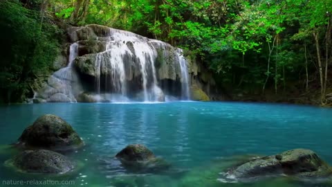 1hr of Relaxation Waterfall and Nature Sounds