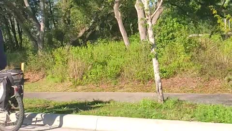 Carole Baskin Biking In Tampa