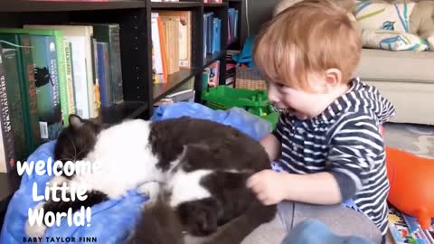 Cute baby sitting with cat and fun with lovely small hands, So cute black and white cat