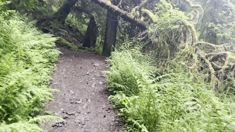 Ascending Latourell Falls Loop – Columbia River Gorge National Scenic Area – Oregon – 4K