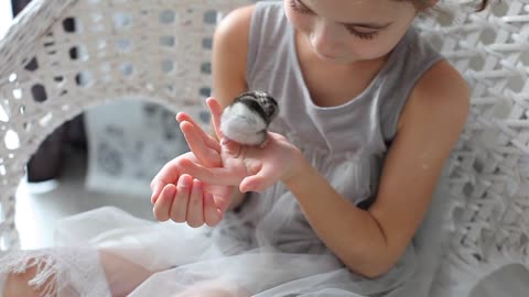 Girl playing with a hamster
