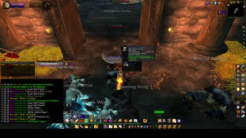 Turtle wow - Paladin SFK aoe run