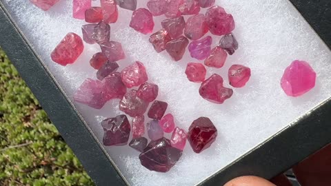 Red, pink and purple SPINEL gem crystals from Mogok Burma Myanmar