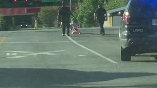 Police Pull Over Little Girl