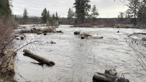 Benham Falls Zone to River Shoreline – Deschutes River Trail – Central Oregon – 4K