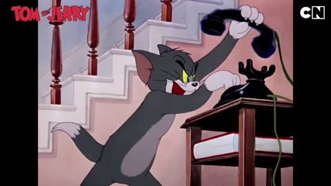 #TomandJerry - Tom and Jerry Cartoon | Only on Cartoon Network India