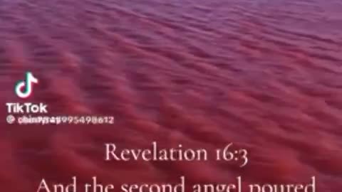 Q Said To "Watch The Water" and "It's Going To Be Biblical "....Coincidence?