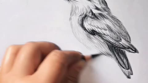 A few simple strokes to draw a bird amazing painting handmade Drawing