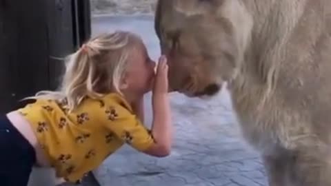 girl play with tiger