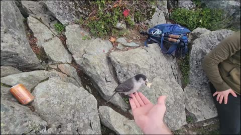 Hiking Bouldering Mount Si - Exploring Washingtons Cascade Range