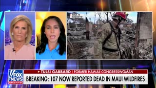 Tulsi Gabbard Talks Hawaiian Fires