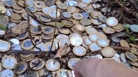Have you ever dreamt that you are picking up a lot of coins?