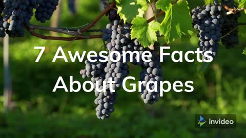 7 Awesome Facts About Grapes