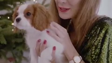 Cute puppy video