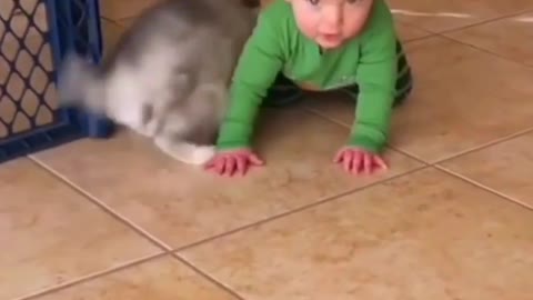 Baby play with dog 🐕