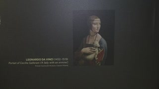 Subastan un boceto de Da Vinci por un récord de 10,3 millones de euros