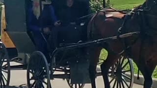 Amish Horse & Buggy at a Walmart Gas Station in Kenton, Ohio