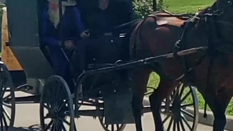 Amish Horse & Buggy at a Walmart Gas Station in Kenton, Ohio