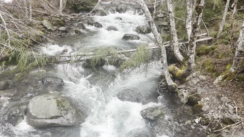 Serene & Tranquil Gale Creek – Okanogan-Wenatchee – Washington – 4K