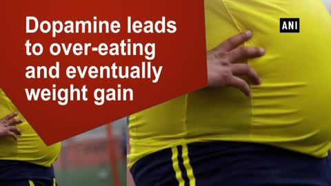 Dopamine leads to over-eating and eventually weight gain, says new research