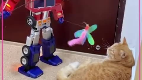 Weird Toys For Your Cat #shorts #shortsvideo #video #viral