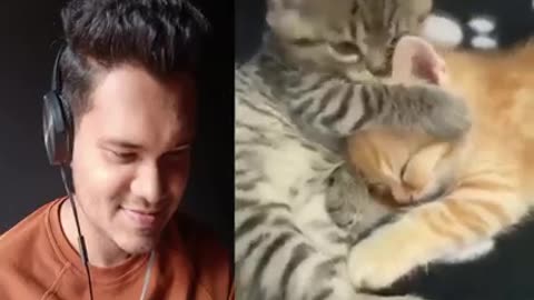 Cat cute clips 🖇️ reaction by me 😂😍