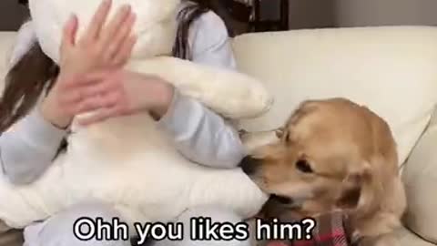 Hugging a Bear For Too Long _ Jealous Dog Reaction