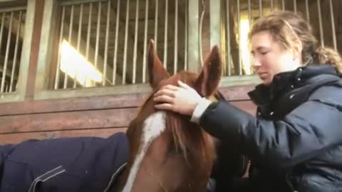 This feral horse didn't know how to interact with humans